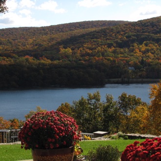 Autumn colors and mums.